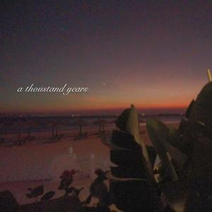 外国舔老女人阴道
